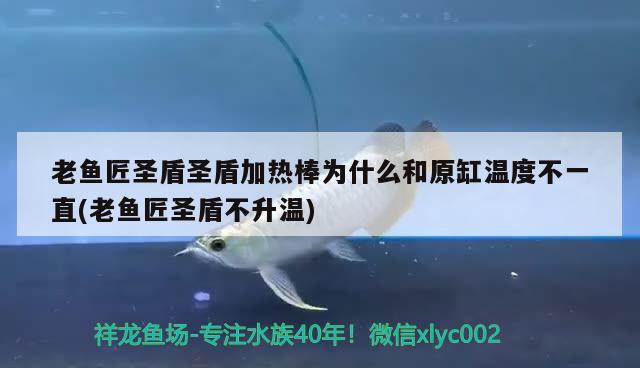 老魚匠圣盾圣盾加熱棒為什么和原缸溫度不一直(老魚匠圣盾不升溫)