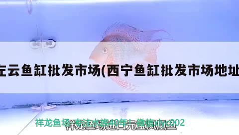 左云魚缸批發(fā)市場(西寧魚缸批發(fā)市場地址) 水族維護(hù)服務(wù)（上門）