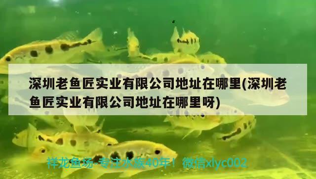 深圳老魚匠實業(yè)有限公司地址在哪里(深圳老魚匠實業(yè)有限公司地址在哪里呀) 老魚匠