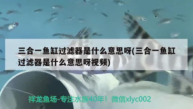 三合一魚缸過濾器是什么意思呀(三合一魚缸過濾器是什么意思呀視頻)