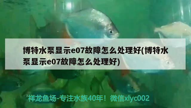 博特水泵顯示e07故障怎么處理好(博特水泵顯示e07故障怎么處理好)