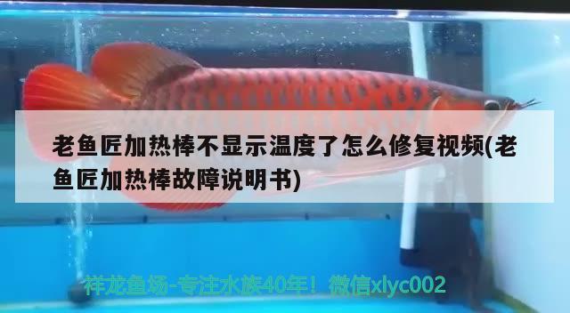 老魚匠加熱棒不顯示溫度了怎么修復(fù)視頻(老魚匠加熱棒故障說明書)