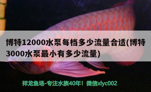 博特12000水泵每檔多少流量合適(博特3000水泵最小有多少流量) 博特水族