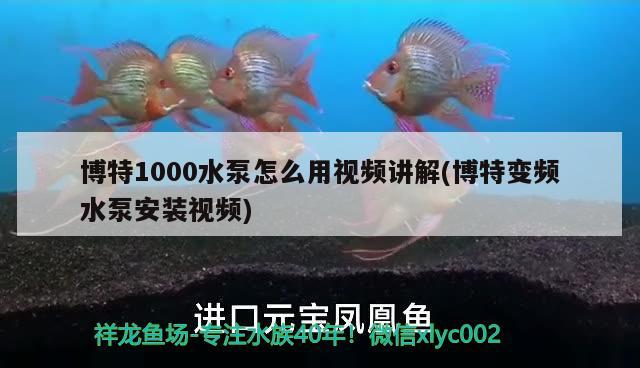 博特1000水泵怎么用視頻講解(博特變頻水泵安裝視頻)