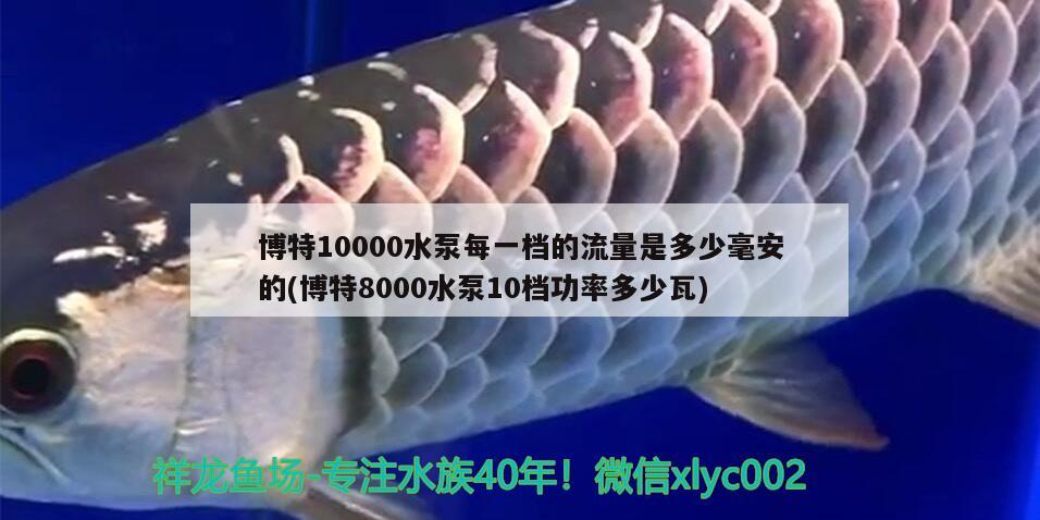 博特10000水泵每一檔的流量是多少毫安的(博特8000水泵10檔功率多少瓦)