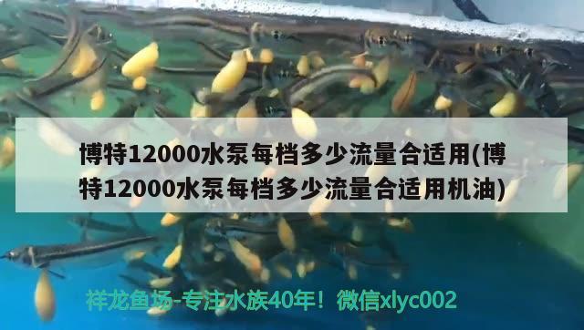 博特12000水泵每檔多少流量合適用(博特12000水泵每檔多少流量合適用機油) 博特水族