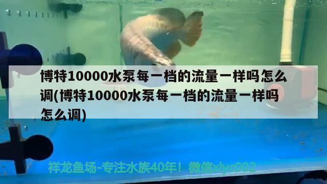 博特10000水泵每一檔的流量一樣嗎怎么調(diào)(博特10000水泵每一檔的流量一樣嗎怎么調(diào)) 博特水族