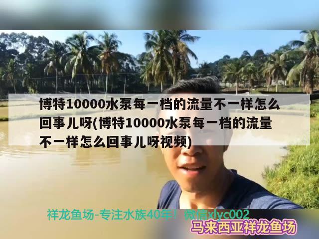 博特10000水泵每一檔的流量不一樣怎么回事兒呀(博特10000水泵每一檔的流量不一樣怎么回事兒呀視頻)