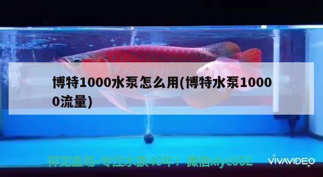 博特1000水泵怎么用(博特水泵10000流量)