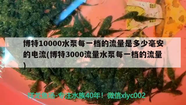 博特10000水泵每一檔的流量是多少毫安的電流(博特3000流量水泵每一檔的流量) 博特水族