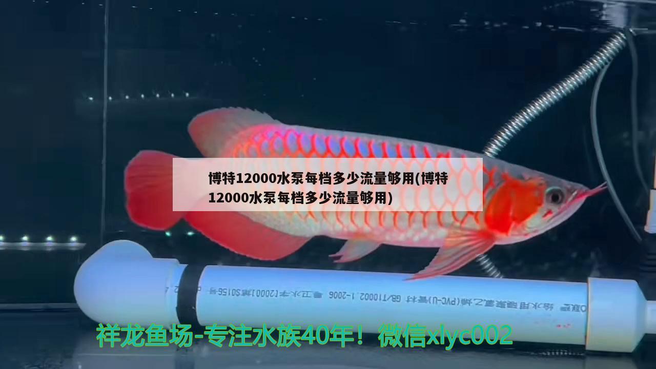 博特12000水泵每檔多少流量夠用(博特12000水泵每檔多少流量夠用) 博特水族