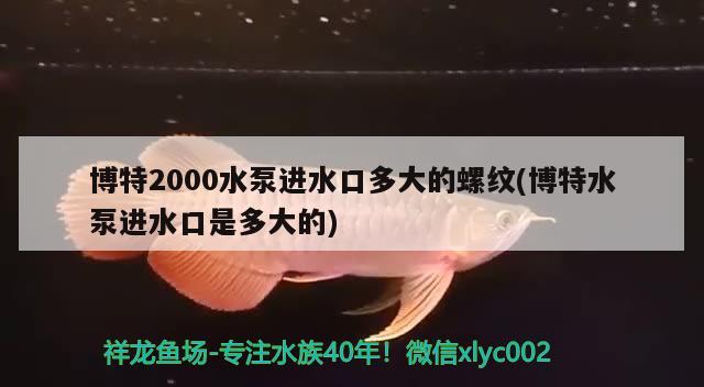 博特2000水泵進水口多大的螺紋(博特水泵進水口是多大的) 博特水族