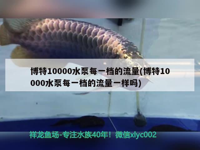 博特10000水泵每一檔的流量(博特10000水泵每一檔的流量一樣嗎)