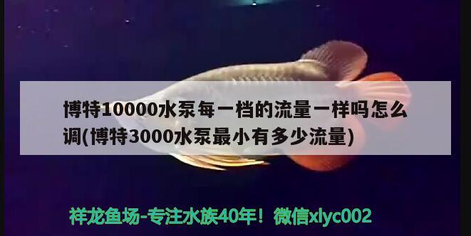 博特10000水泵每一檔的流量一樣嗎怎么調(diào)(博特3000水泵最小有多少流量)