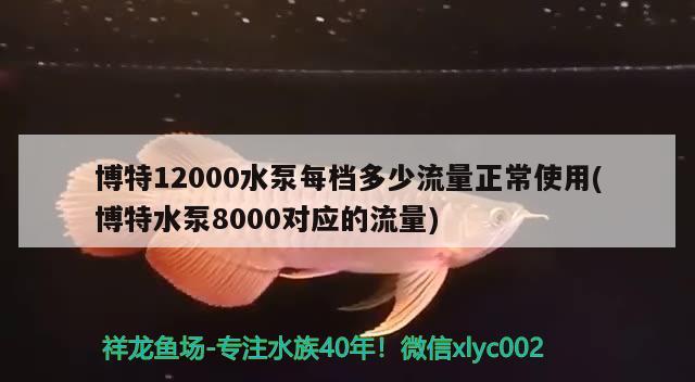 博特12000水泵每檔多少流量正常使用(博特水泵8000對(duì)應(yīng)的流量)