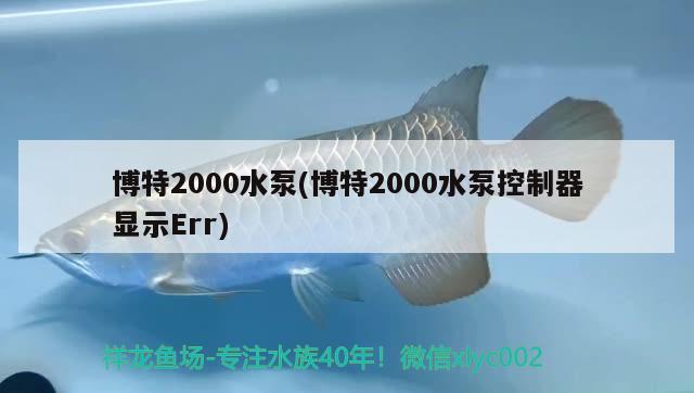 博特2000水泵(博特2000水泵控制器顯示Err) 博特水族