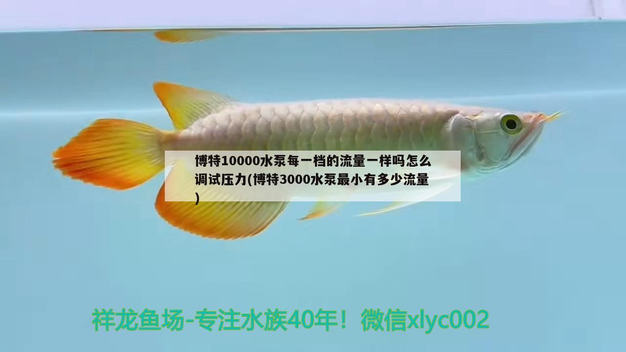 博特10000水泵每一檔的流量一樣嗎怎么調(diào)試壓力(博特3000水泵最小有多少流量) 博特水族