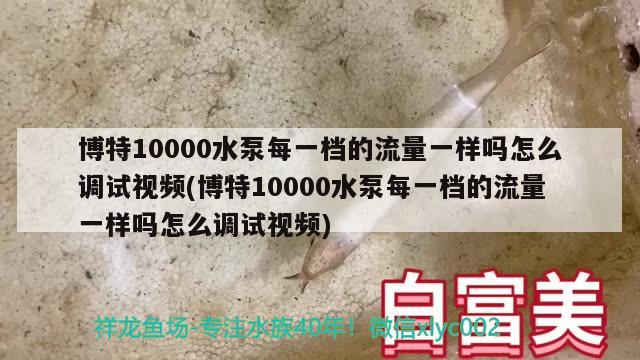 博特10000水泵每一檔的流量一樣嗎怎么調(diào)試視頻(博特10000水泵每一檔的流量一樣嗎怎么調(diào)試視頻)