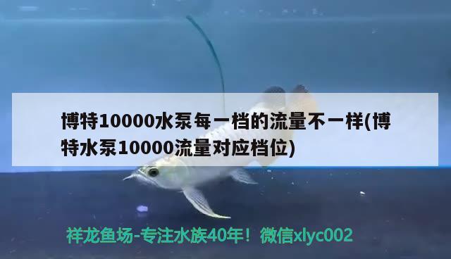 博特10000水泵每一檔的流量不一樣(博特水泵10000流量對應檔位) 博特水族