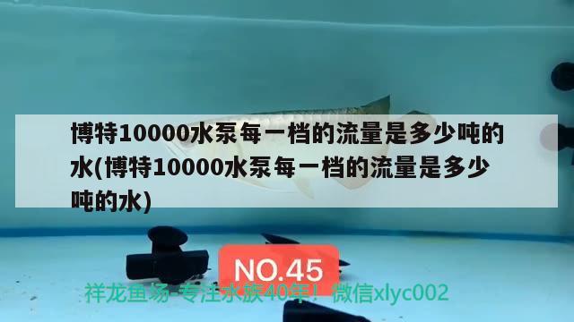 博特10000水泵每一檔的流量是多少噸的水(博特10000水泵每一檔的流量是多少噸的水)