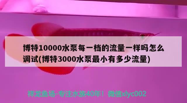 博特10000水泵每一檔的流量一樣嗎怎么調(diào)試(博特3000水泵最小有多少流量)