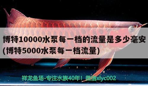 博特10000水泵每一檔的流量是多少毫安(博特5000水泵每一檔流量)