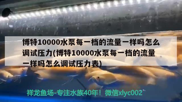 博特10000水泵每一檔的流量一樣嗎怎么調(diào)試壓力(博特10000水泵每一檔的流量一樣嗎怎么調(diào)試壓力表) 博特水族