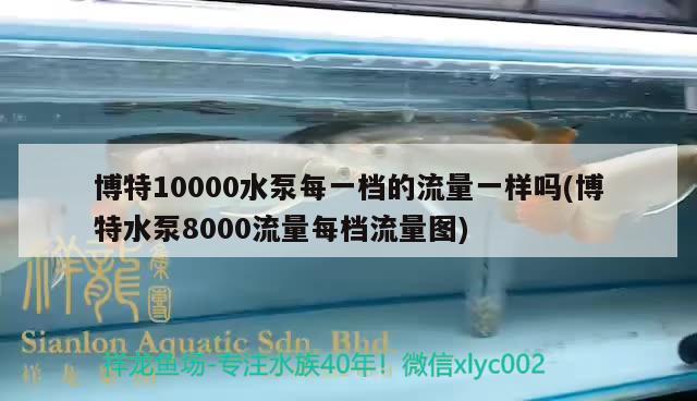 博特10000水泵每一檔的流量一樣嗎(博特水泵8000流量每檔流量圖) 博特水族