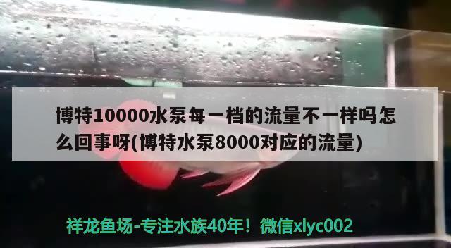 博特10000水泵每一檔的流量不一樣嗎怎么回事呀(博特水泵8000對(duì)應(yīng)的流量)