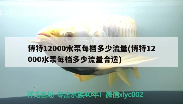 博特12000水泵每檔多少流量(博特12000水泵每檔多少流量合適)