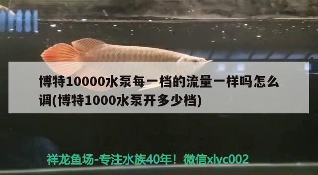 博特10000水泵每一檔的流量一樣嗎怎么調(diào)(博特1000水泵開多少檔)