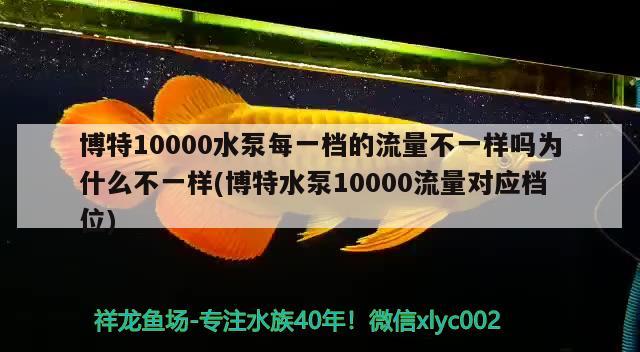 博特10000水泵每一檔的流量不一樣嗎為什么不一樣(博特水泵10000流量對(duì)應(yīng)檔位)