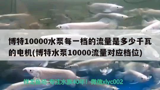 博特10000水泵每一檔的流量是多少千瓦的電機(jī)(博特水泵10000流量對應(yīng)檔位) 博特水族