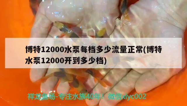 博特12000水泵每檔多少流量正常(博特水泵12000開到多少檔) 博特水族