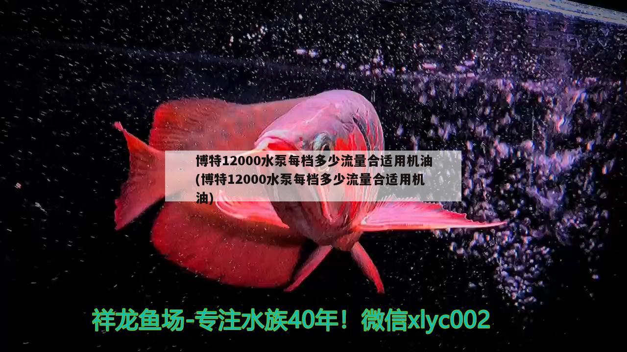 博特12000水泵每檔多少流量合適用機油(博特12000水泵每檔多少流量合適用機油) 博特水族