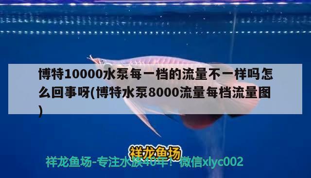 博特10000水泵每一檔的流量不一樣嗎怎么回事呀(博特水泵8000流量每檔流量圖)