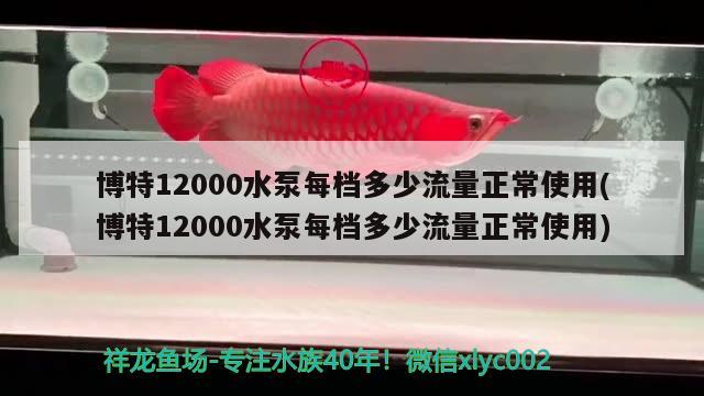 博特12000水泵每檔多少流量正常使用(博特12000水泵每檔多少流量正常使用) 博特水族