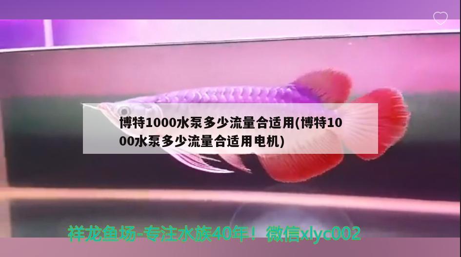 博特1000水泵多少流量合適用(博特1000水泵多少流量合適用電機(jī))