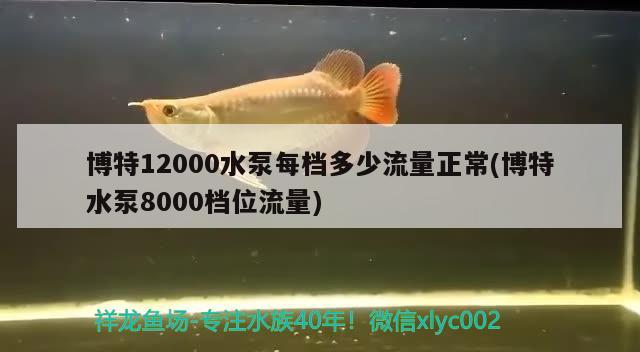 博特12000水泵每檔多少流量正常(博特水泵8000檔位流量)