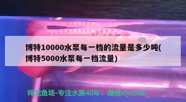 博特10000水泵每一檔的流量是多少噸(博特5000水泵每一檔流量) 博特水族