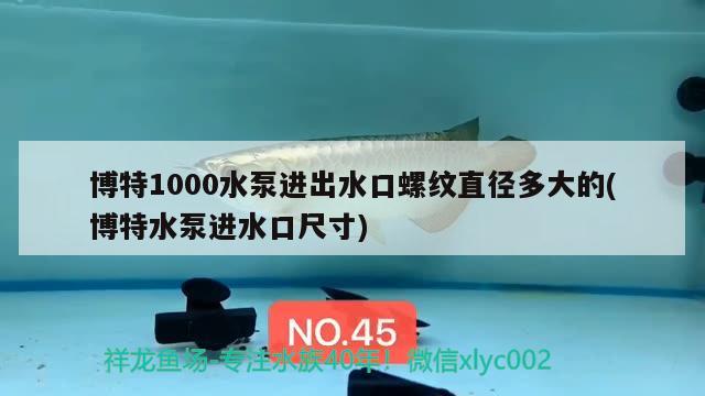 博特1000水泵進出水口螺紋直徑多大的(博特水泵進水口尺寸) 博特水族