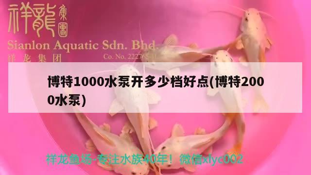 博特1000水泵開多少檔好點(博特2000水泵) 博特水族