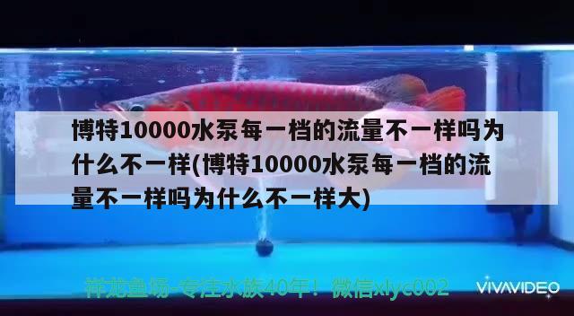 博特10000水泵每一檔的流量不一樣嗎為什么不一樣(博特10000水泵每一檔的流量不一樣嗎為什么不一樣大) 博特水族