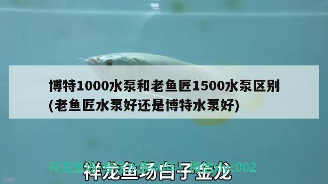 博特1000水泵和老魚匠1500水泵區(qū)別(老魚匠水泵好還是博特水泵好)