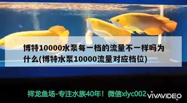 博特10000水泵每一檔的流量不一樣嗎為什么(博特水泵10000流量對(duì)應(yīng)檔位) 博特水族