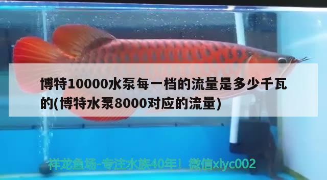 博特10000水泵每一檔的流量是多少千瓦的(博特水泵8000對應的流量) 博特水族