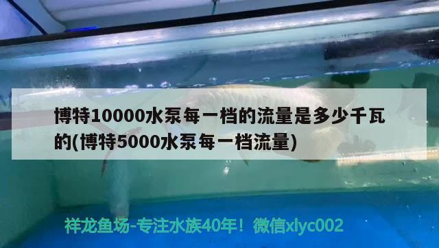 博特10000水泵每一檔的流量是多少千瓦的(博特5000水泵每一檔流量)