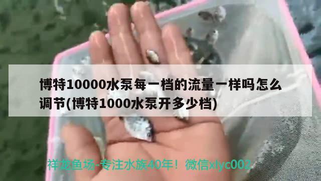 博特10000水泵每一檔的流量一樣嗎怎么調(diào)節(jié)(博特1000水泵開多少檔)