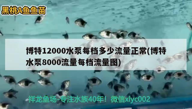 博特12000水泵每檔多少流量正常(博特水泵8000流量每檔流量圖) 博特水族