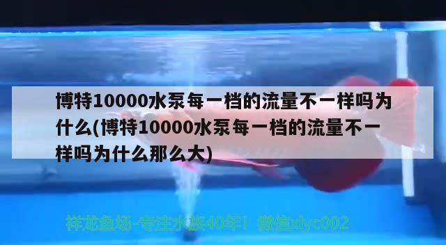 博特10000水泵每一檔的流量不一樣嗎為什么(博特10000水泵每一檔的流量不一樣嗎為什么那么大) 博特水族